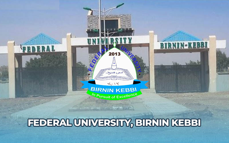 Federal University, Birnin Kebbi