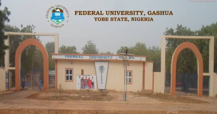 Federal University Gashua